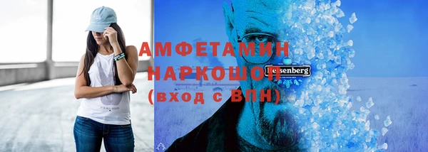 индика Сосновоборск