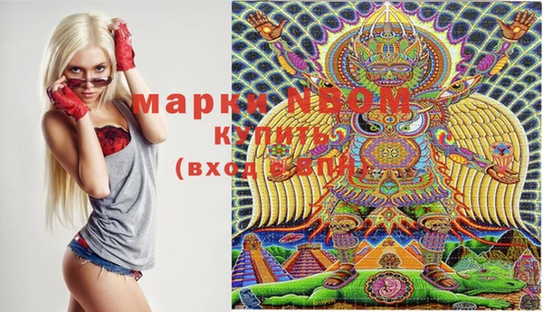 индика Сосновоборск