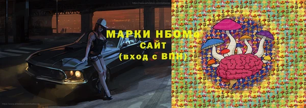 индика Сосновоборск