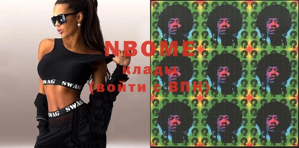 индика Сосновоборск