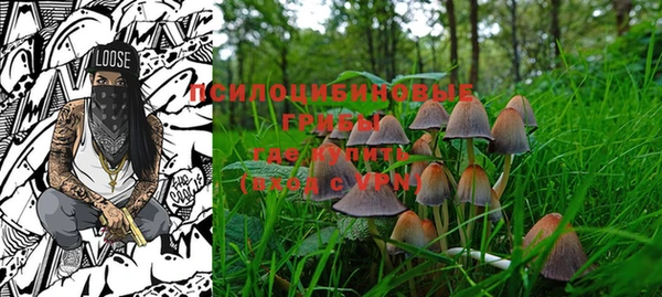 индика Сосновоборск