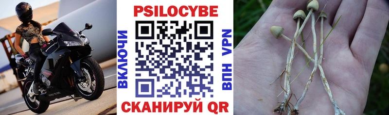 Галлюциногенные грибы Psilocybine cubensis  Купить  Спас-Деменск 